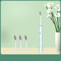 N100 Adult Timer Brush 6 Modesonic Electric Toothbrush USB Charger Rechargeable Tooth Brushes Replacement Heads Set Valentine
