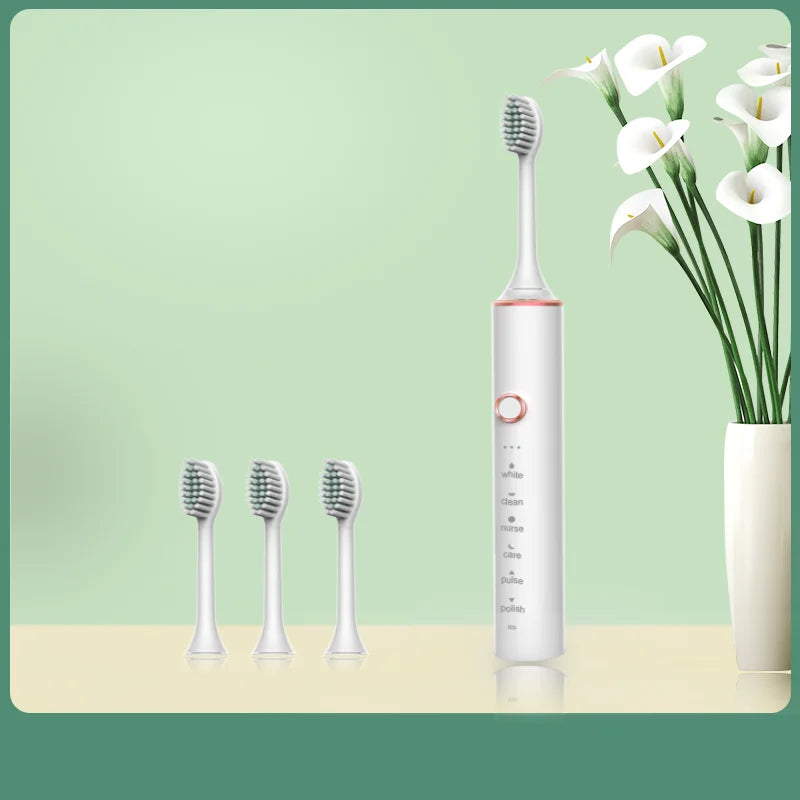 N100 Adult Timer Brush 6 Modesonic Electric Toothbrush USB Charger Rechargeable Tooth Brushes Replacement Heads Set Valentine
